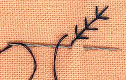 a step by step illustration of how to work fern stitch