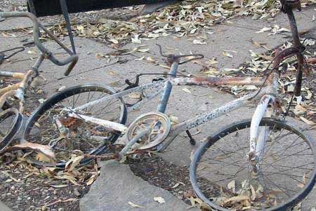 Image taken after the Canberra fires 2003